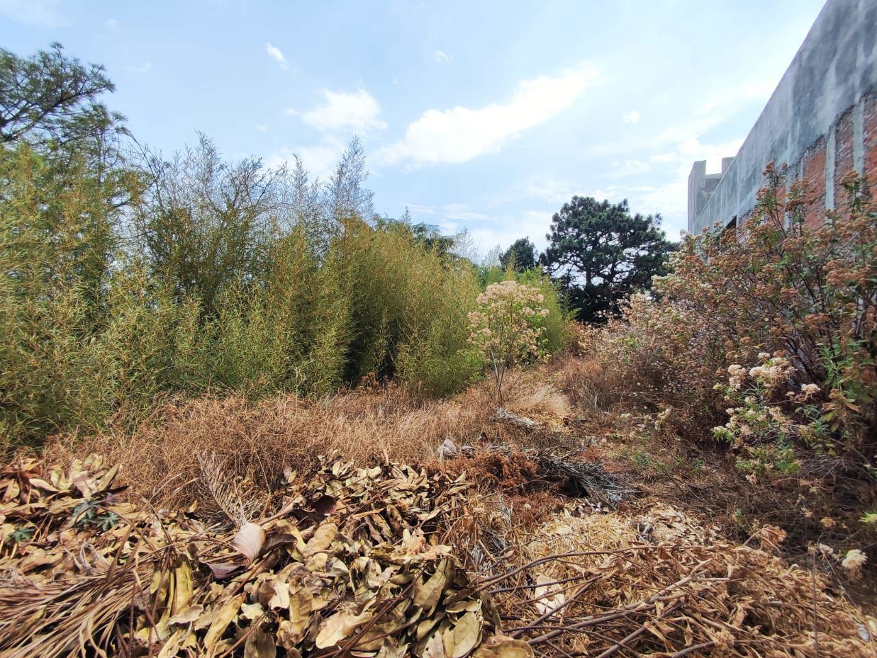 Venta de Terreno Tzompantle