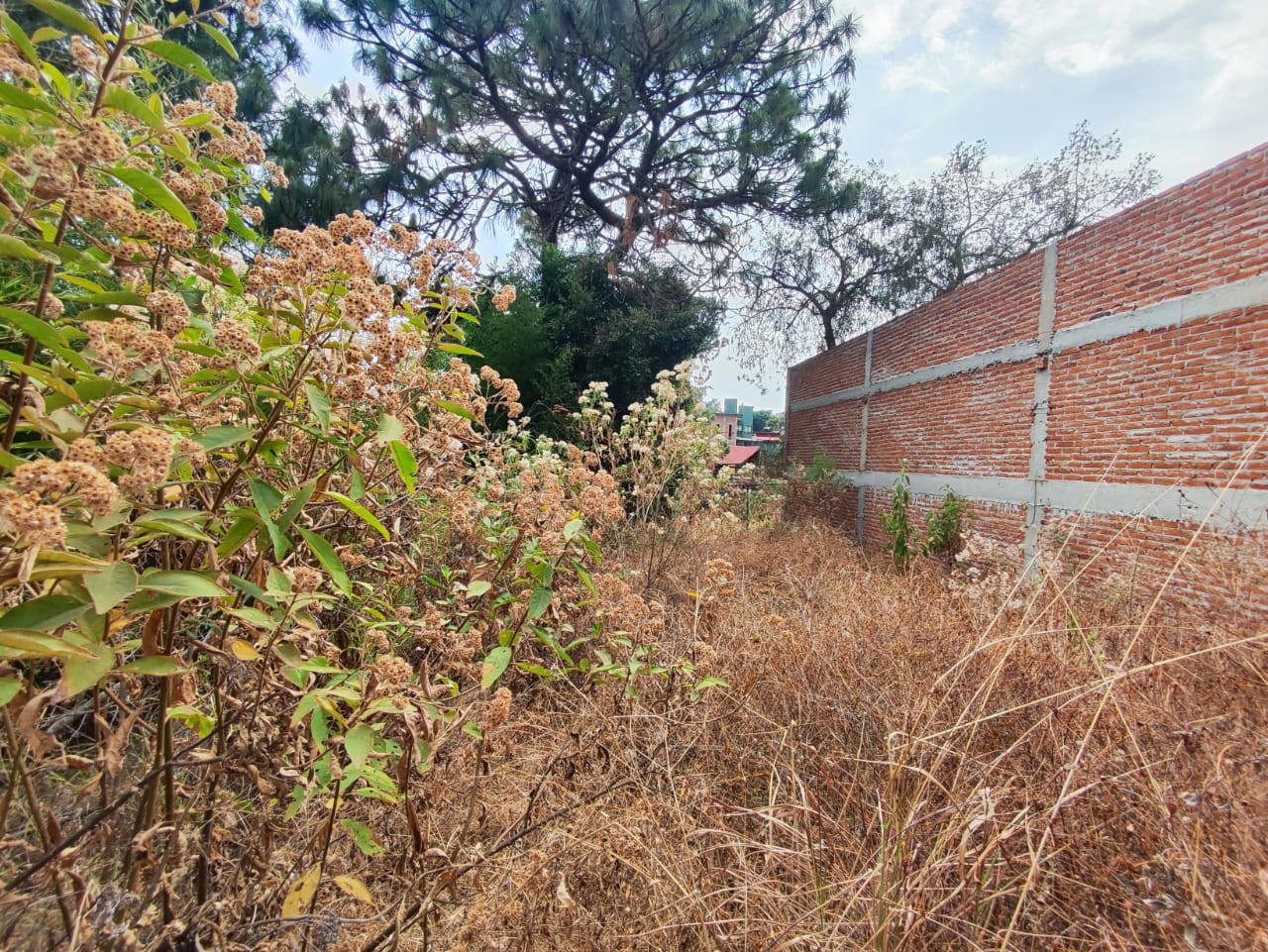Foto inmueble