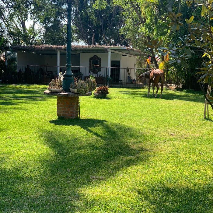 Venta de Rancho-Hotel en Xochitepec